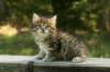 img_8232_small.jpg