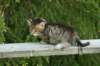 img_8242_small.jpg