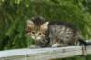 img_8243_small.jpg