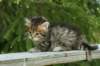 img_8244_small.jpg