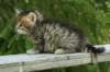 img_8249_small.jpg
