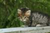 img_8252_small.jpg