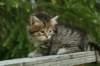 img_8253_small.jpg