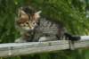 img_8254_small.jpg