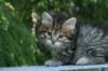 img_8272_small.jpg