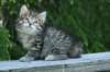 img_8275_small.jpg