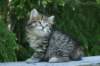 img_8276_small.jpg