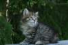 img_8278_small.jpg