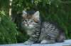 img_8279_small.jpg