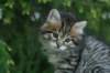 img_8281_small.jpg