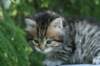 img_8284_small.jpg