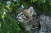 img_8285_small.jpg