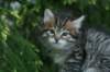 img_8291_small.jpg