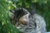 img_8294_small.jpg