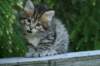 img_8295_small.jpg