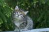 img_8297_small.jpg