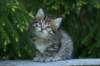 img_8298_small.jpg