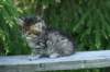 img_8313_small.jpg