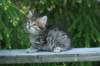 img_8315_small.jpg