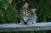 img_8321_small.jpg