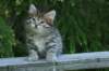 img_8322_small.jpg