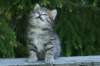 img_8323_small.jpg