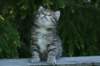 img_8324_small.jpg