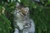 img_8326_small.jpg