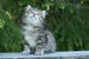 img_8327_small.jpg