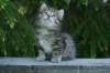 img_8328_small.jpg