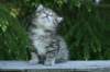 img_8330_small.jpg