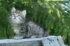 img_8336_small.jpg
