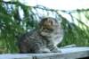 img_8347_small.jpg