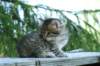img_8348_small.jpg