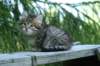 img_8352_small.jpg
