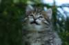 img_8357_small.jpg