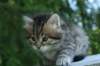 img_8360_small.jpg