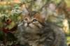 ussiaboy6weekssibn0924149_small.jpg