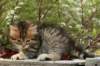 ussiaboy6weekssibn092426_small.jpg