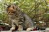 ussiaboy6weekssibn092460_small.jpg