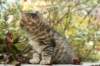 ussiaboy6weekssibn092493_small.jpg