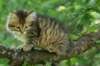 img_0592_small.jpg