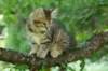 img_0601_small.jpg