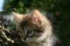 img_0617_small.jpg