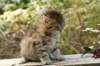 uuriaboy6weekssibn24104_small.jpg