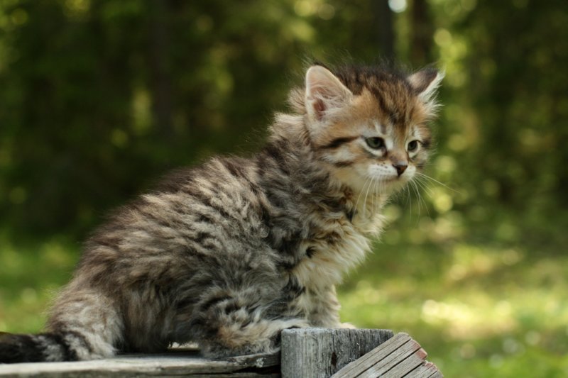 uuriaboy6weekssibn2443.jpg