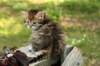 uuriaboy6weekssibn2446_small.jpg