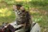 uuriaboy6weekssibn2447_small.jpg