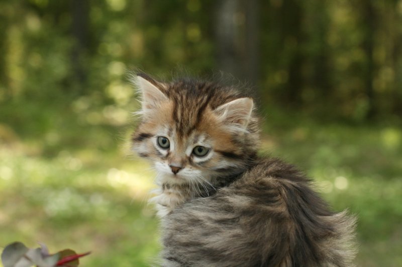 uuriaboy6weekssibn2448.jpg