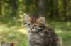uuriaboy6weekssibn2448_small.jpg